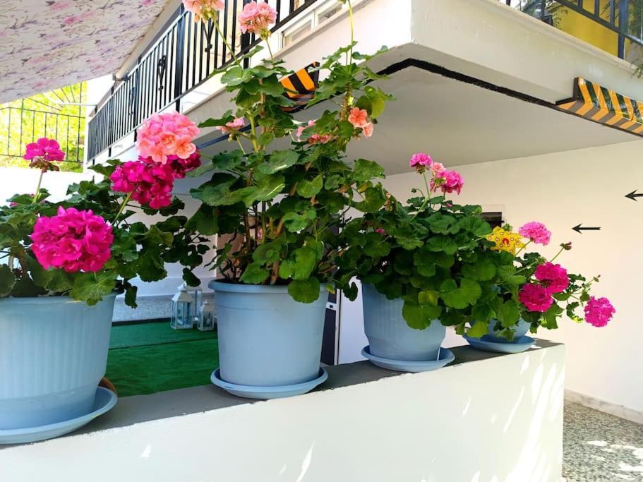 Sofia'S Home 9Min. Athens Airport アルテミダ エクステリア 写真